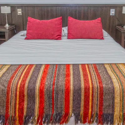 Imagen de Suite Deluxe (doble matrimonial o twin: dos singles)