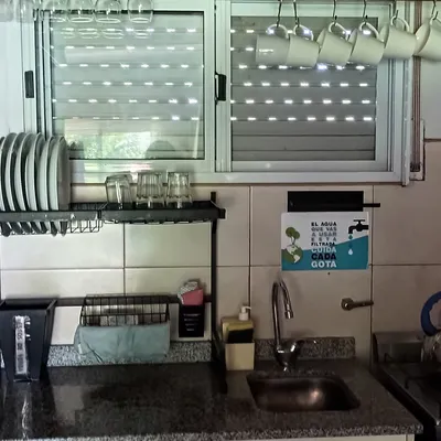 Imagen de Aromo
