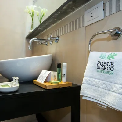 Imagen de Suite con Estilo Alerce (doble o triple)