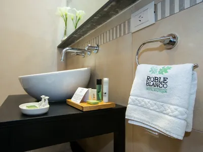 Imagen de Hotel Roble Blanco